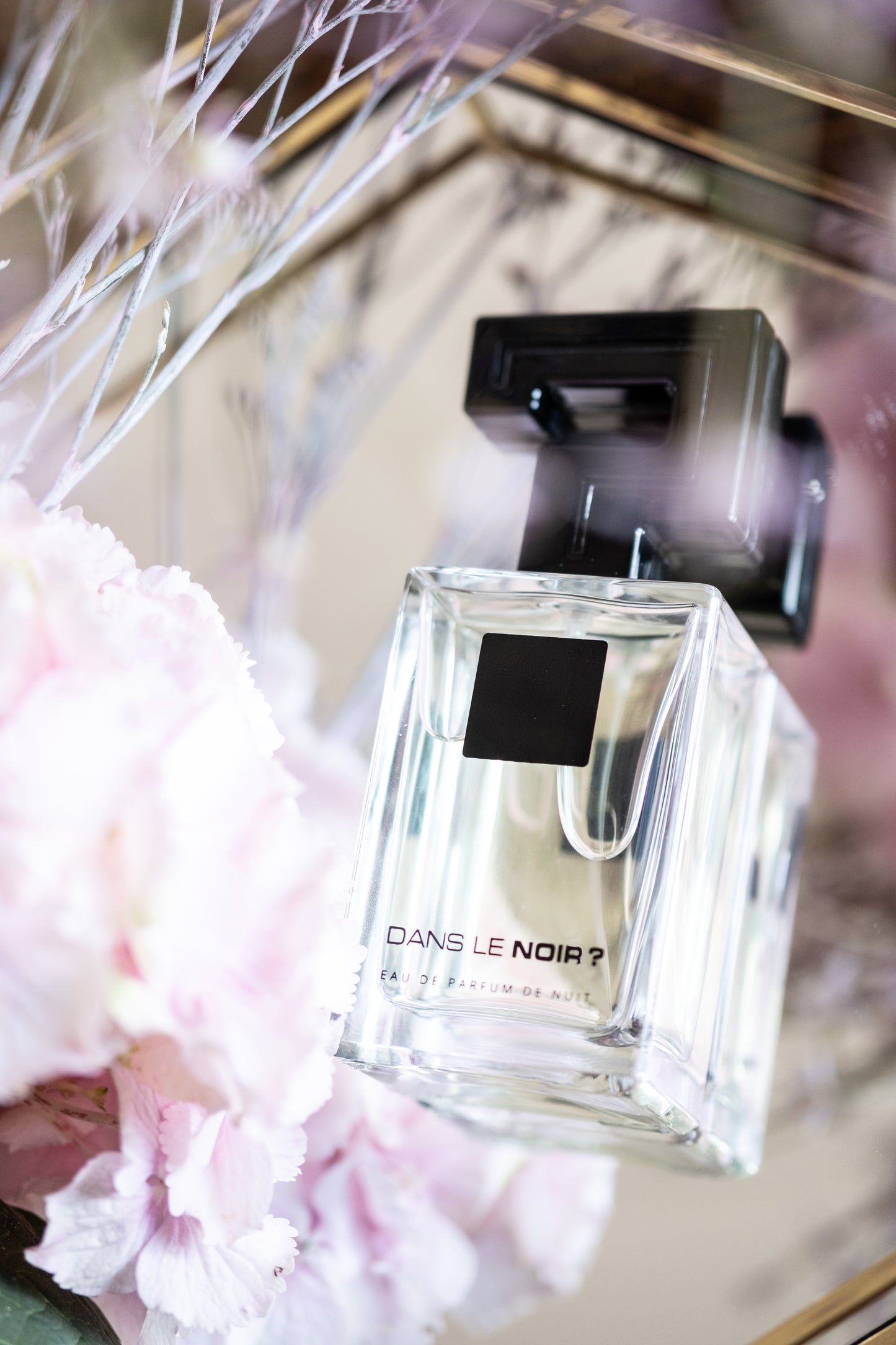 Dans le Noir ? Parfums